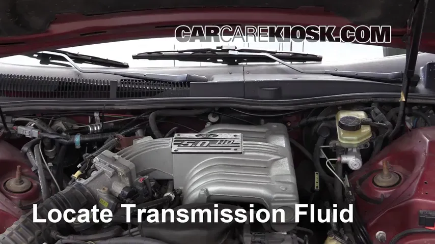 1993 Ford Thunderbird LX 5.0L V8 Transmission Fluid Add Fluid